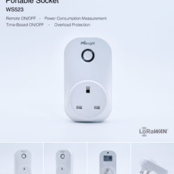 WS523 868M 13A UK 2